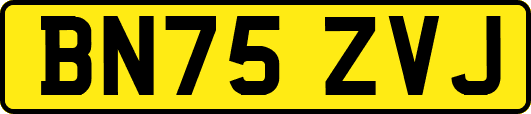 BN75ZVJ
