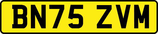 BN75ZVM