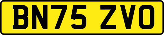 BN75ZVO