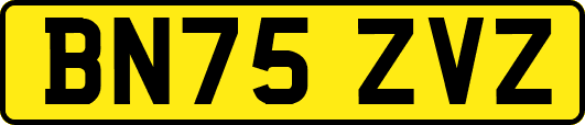 BN75ZVZ