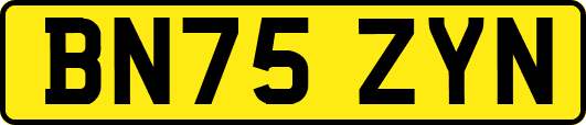 BN75ZYN