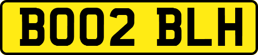 BO02BLH