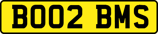 BO02BMS