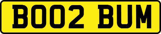 BO02BUM
