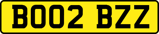 BO02BZZ