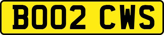 BO02CWS