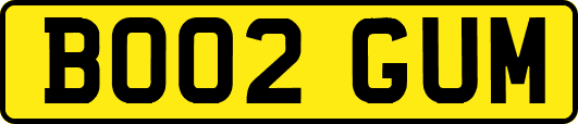 BO02GUM