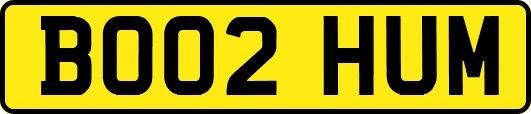 BO02HUM