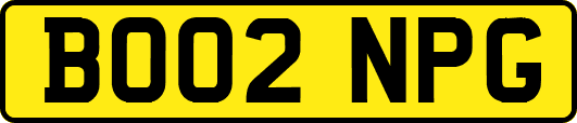 BO02NPG