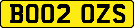 BO02OZS
