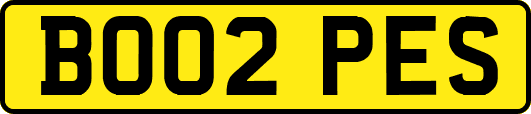 BO02PES