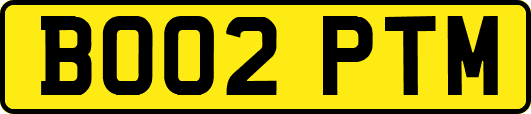 BO02PTM