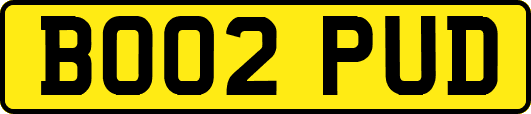 BO02PUD