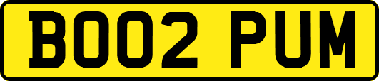 BO02PUM