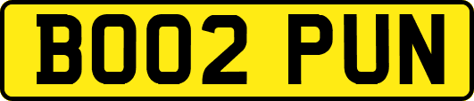 BO02PUN
