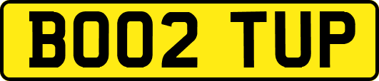 BO02TUP