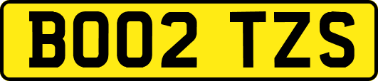 BO02TZS