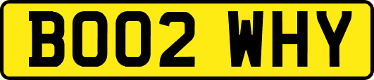 BO02WHY