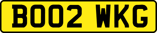 BO02WKG