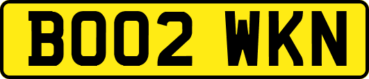 BO02WKN
