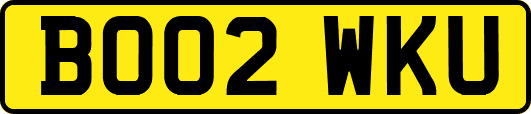 BO02WKU