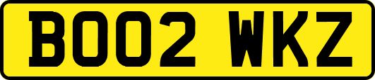 BO02WKZ