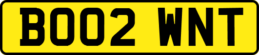 BO02WNT