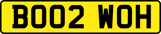 BO02WOH