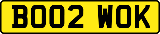 BO02WOK