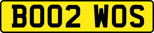 BO02WOS