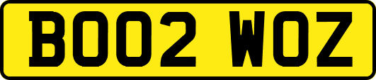 BO02WOZ