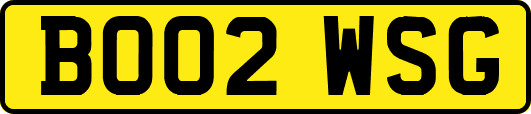 BO02WSG