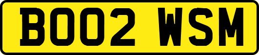 BO02WSM