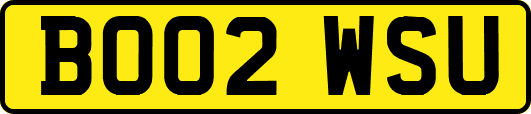 BO02WSU