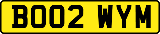 BO02WYM