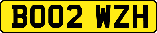 BO02WZH