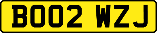 BO02WZJ