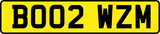 BO02WZM