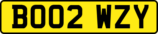 BO02WZY