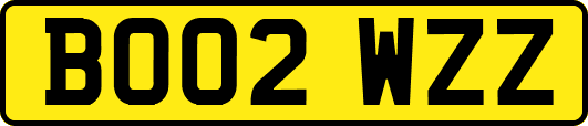 BO02WZZ