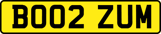BO02ZUM