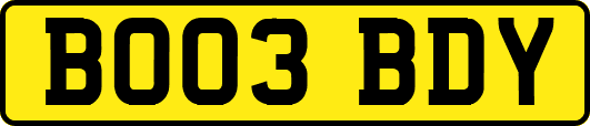 BO03BDY