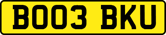 BO03BKU