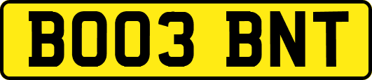 BO03BNT