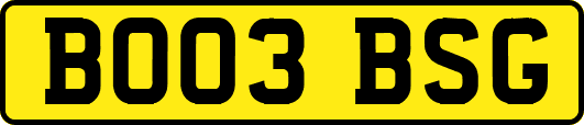 BO03BSG