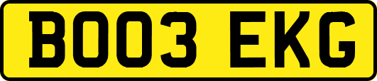 BO03EKG