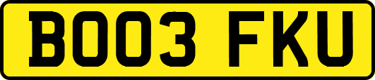 BO03FKU