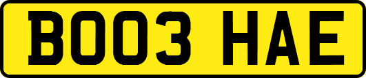 BO03HAE