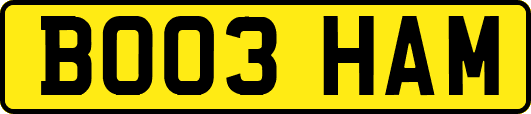 BO03HAM