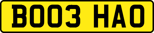 BO03HAO